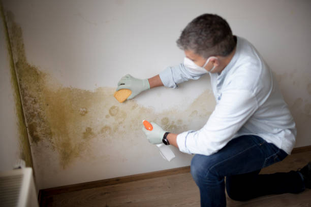 Best Crawl Space Mold Remediation  in Rouses Point, NY