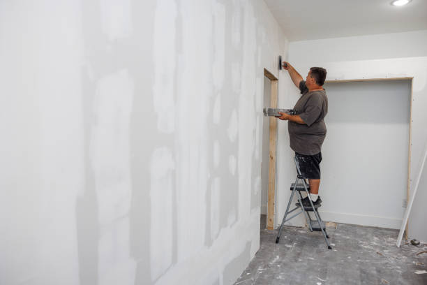 Best Mold Documentation for Insurance Claims  in Rouses Point, NY