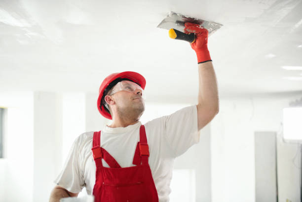 Mold Odor Removal Services