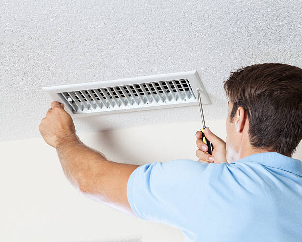 Professional Mold Removal in Rouses Point, NY